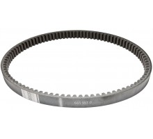 665957.0 Belt Tagex, 665957