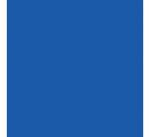 Paint for [New Holland] blue 1l