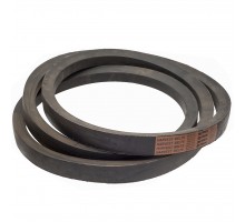 D41981100 Variator belt HARVEST BELTS [Dronningborg]