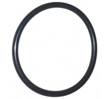 712326.1 O-ring