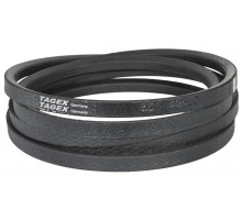 661425.0 Belt Tagex [Claas], 661425