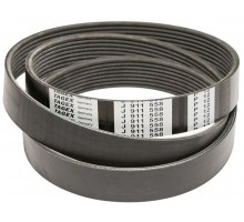 J911558 Belt Tagex