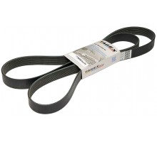 7700066699 Belt Tagex